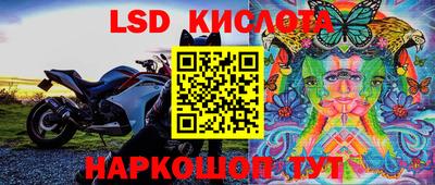 Альфа ПВП Донской