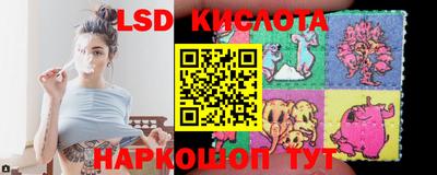 гашик Донецк