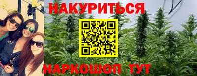 гашик Донецк