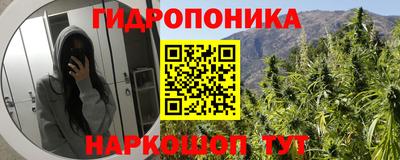 гашик Донецк