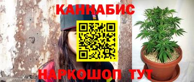 гашик Донецк