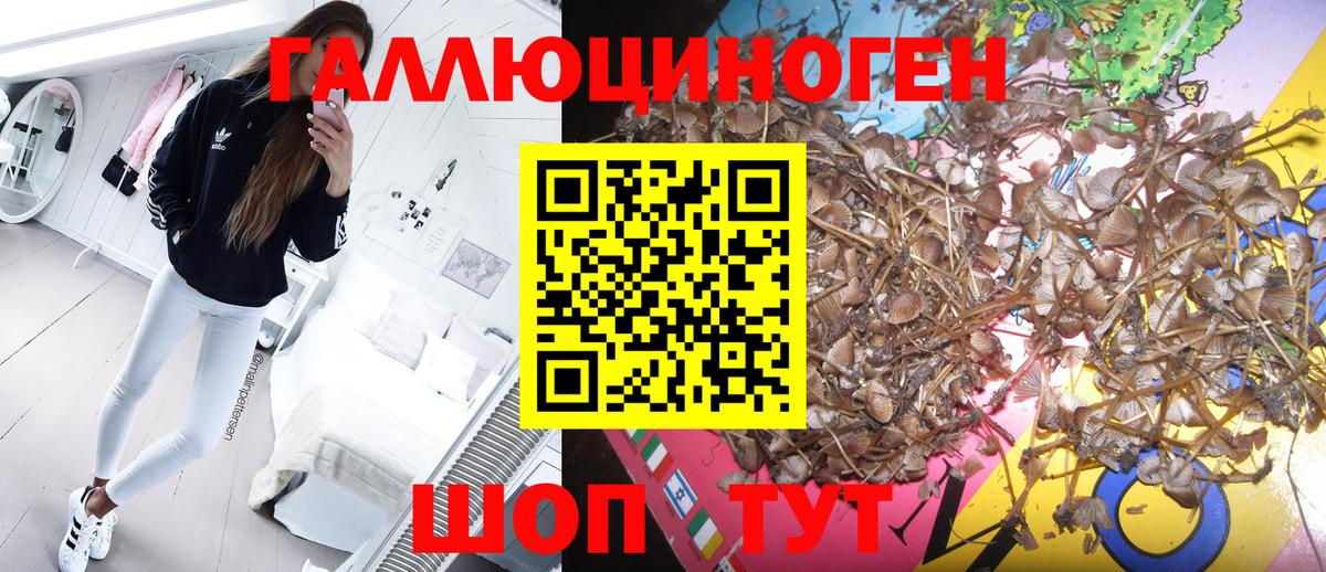 Медногорск  Галлюциногенные грибы GOLDEN TEACHER  где купить   Вход с VPN 